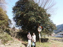 写真：鈴の鳴る道1