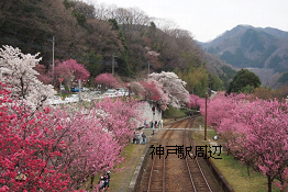 写真：鈴の鳴る道_2