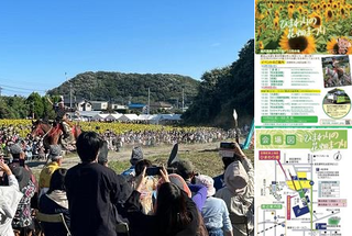 写真：ひまわりの花畑まつり開催中！