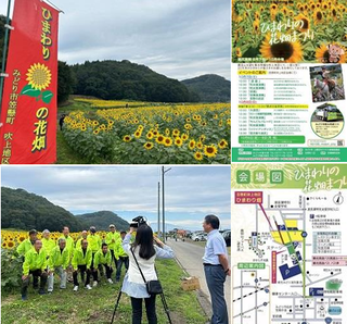 写真：第28回ひまわりの花畑まつりを開催