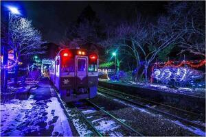 写真：各駅イルミネーション実行委員会賞8