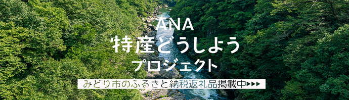 バナー：ANA特産品どうしようプロジェクト（外部リンク・新しいウィンドウで開きます）