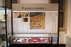 写真：展示コーナー