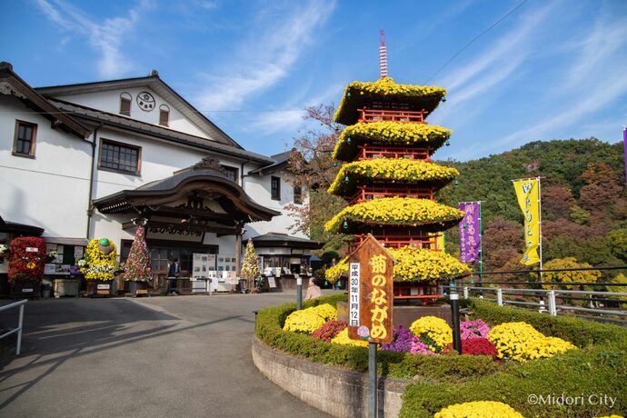 関東菊花大会　五重塔