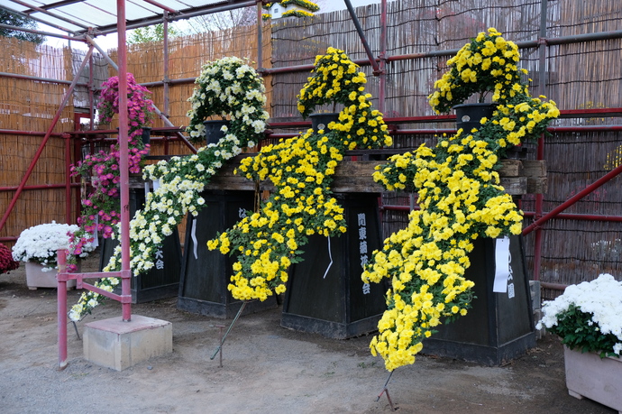 写真：静岡懸崖作り