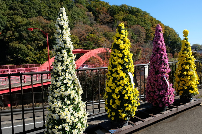 写真：特殊作り（杉作り）