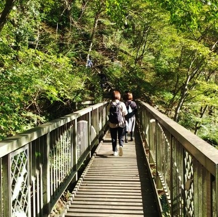 高津戸峡の画像
