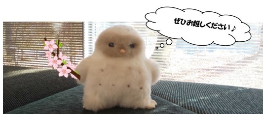 ふくろうのぬいぐるみの写真