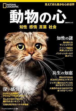 写真：「動物の心」