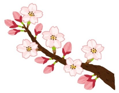 写真：桜のイラスト