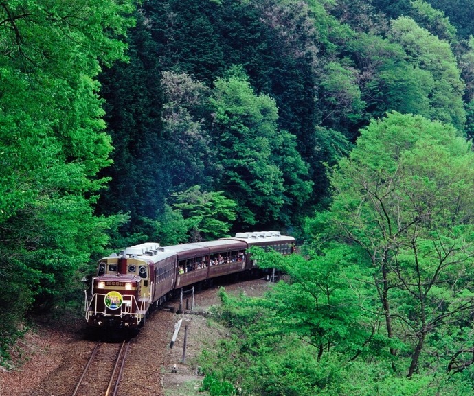 【わたらせ渓谷鐵道】 トロッコ列車の旅セット ※おとな1名用｜わたらせ渓谷鐵道株式会社