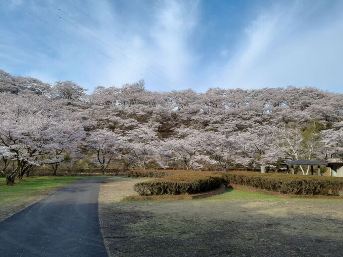  水の広場1