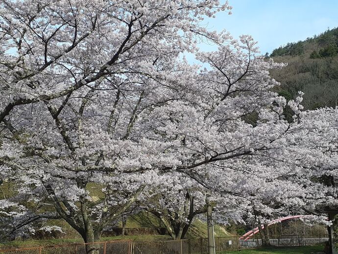 水の広場2