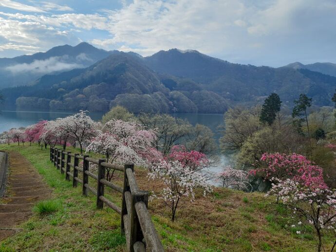 富弘美術館：4月17日2