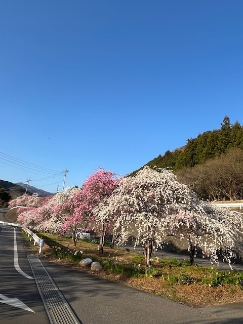 撮影場所　みどり市東町大畑