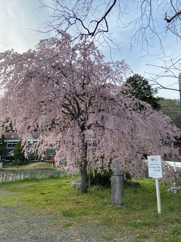 撮影場所　東支所隣