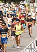 写真：広報みどり 平成30年10月号表紙