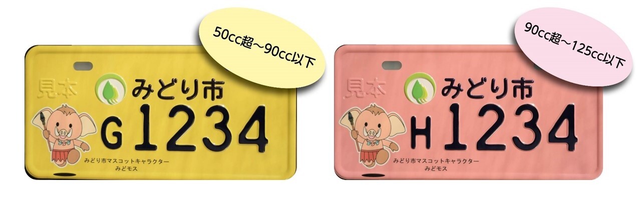 訂正画像