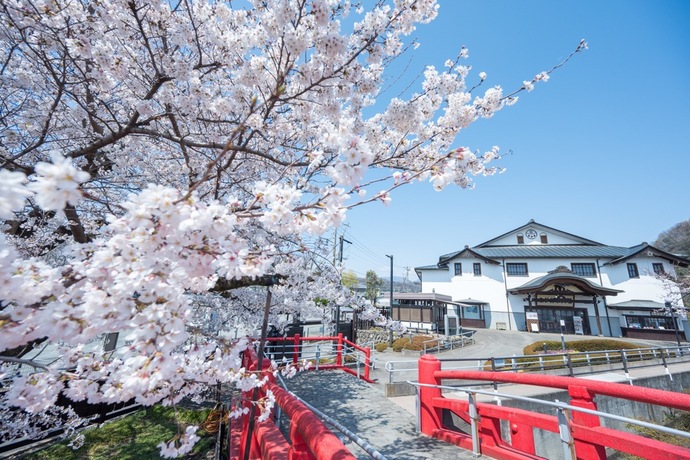 写真：ながめ公園・桜