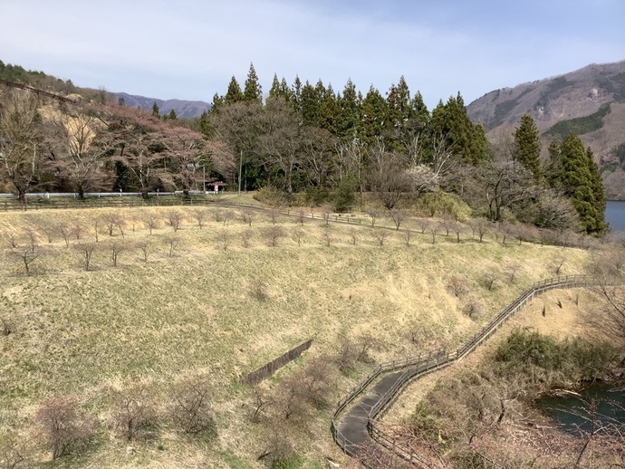 写真：富弘美術館・花桃