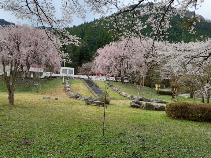 写真：童謡ふるさと館4月15日
