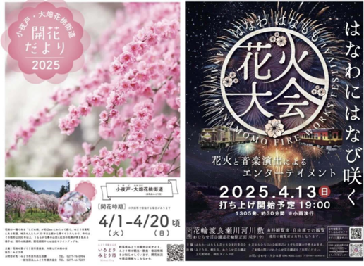 写真：東町の花桃開花状況