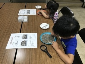 写真:化石探し体験の様子