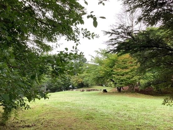 美術館の庭