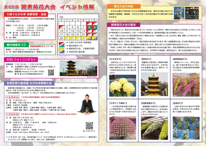 関東菊花大会チラシ裏