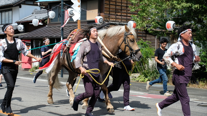 【佳作】「神馬が走る」 日永 和子様(桐生市)