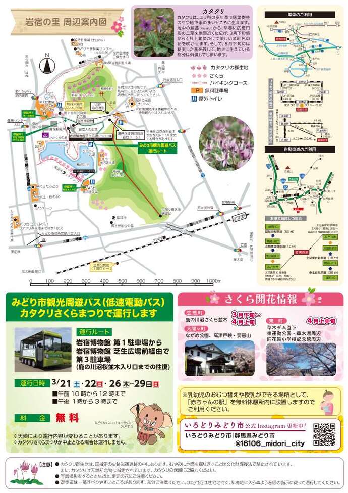 カタクリさくらまつり裏