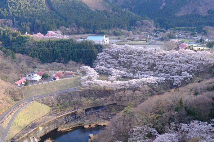 水の広場｜2026年4月6日
