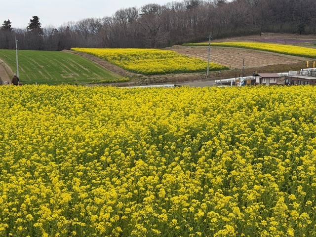 鹿田山｜2026年3月18日
