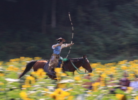 特別プログラム
