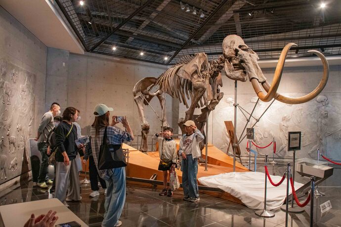 マンモスお別れ会の様子