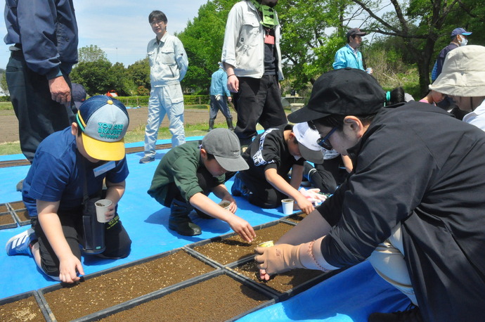 岩宿の里米っこクラブ活動の様子