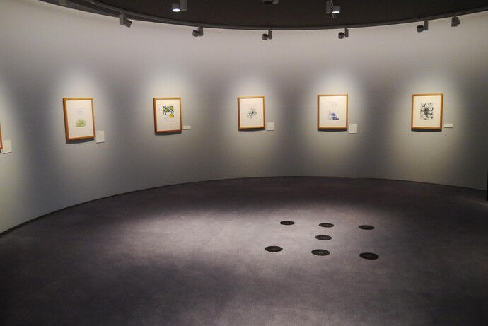 写真:展示室